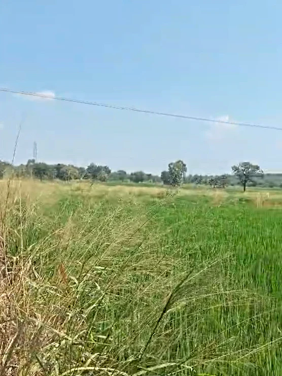 W643+9X Kowdipally, Medak, Telangana, India