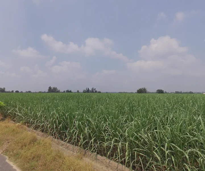 Himmatpura, Punjab 142039, India preview 3