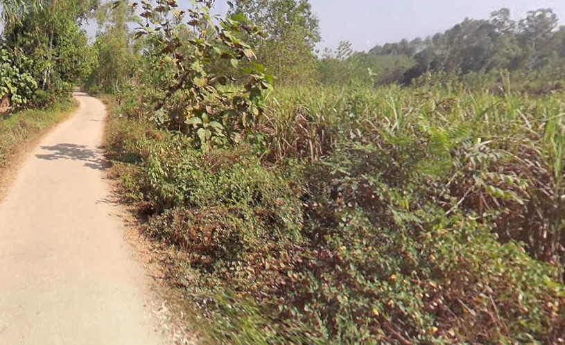 Biharigarh, Uttar Pradesh 247662, India