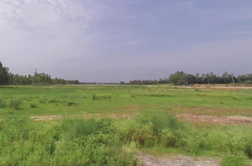 Sherpur Pelon, Uttar Pradesh 247121, India
