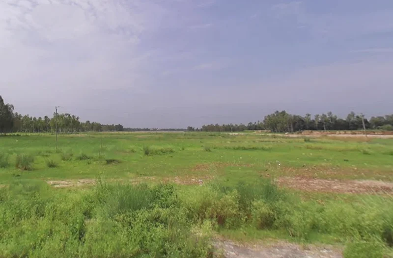 Sherpur Pelon, Uttar Pradesh 247121, India preview 2