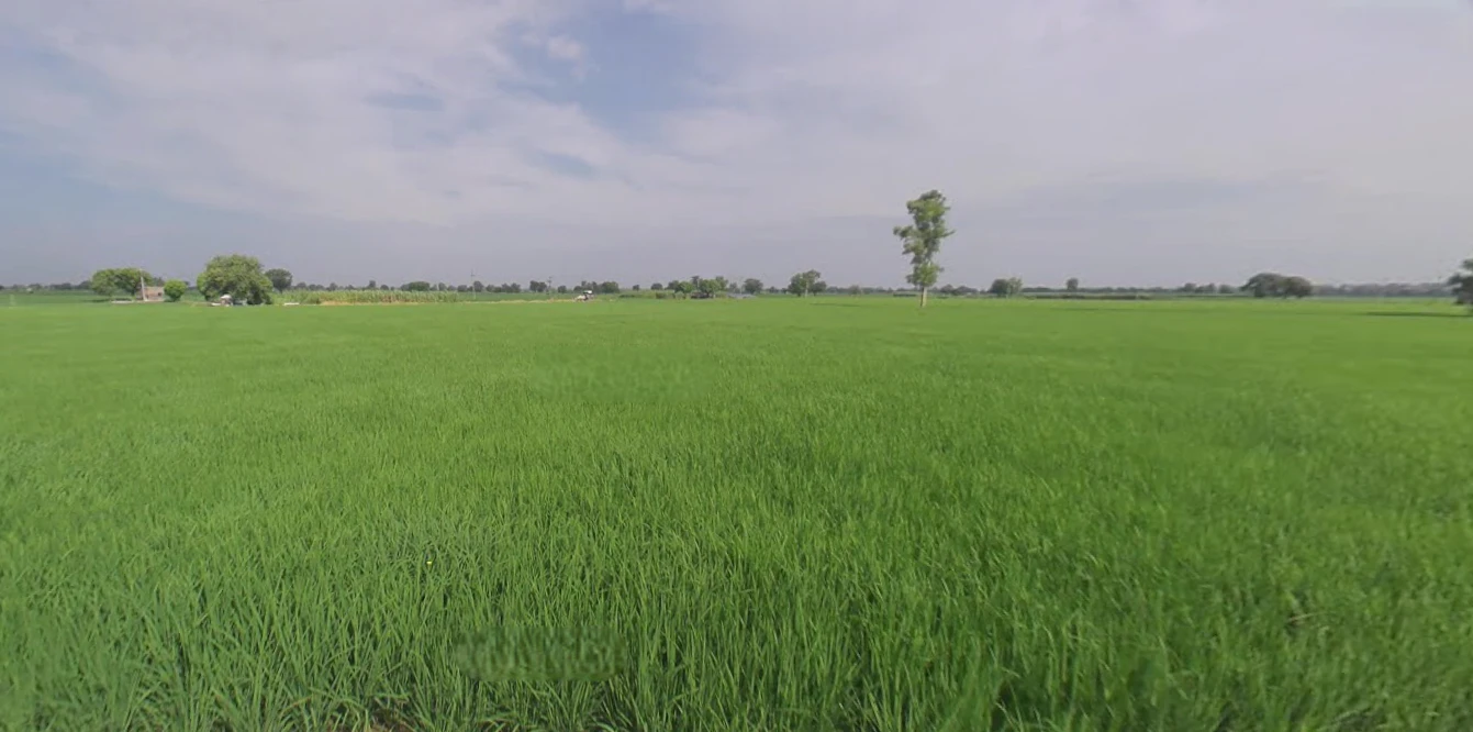 Malout, Punjab 152107, India