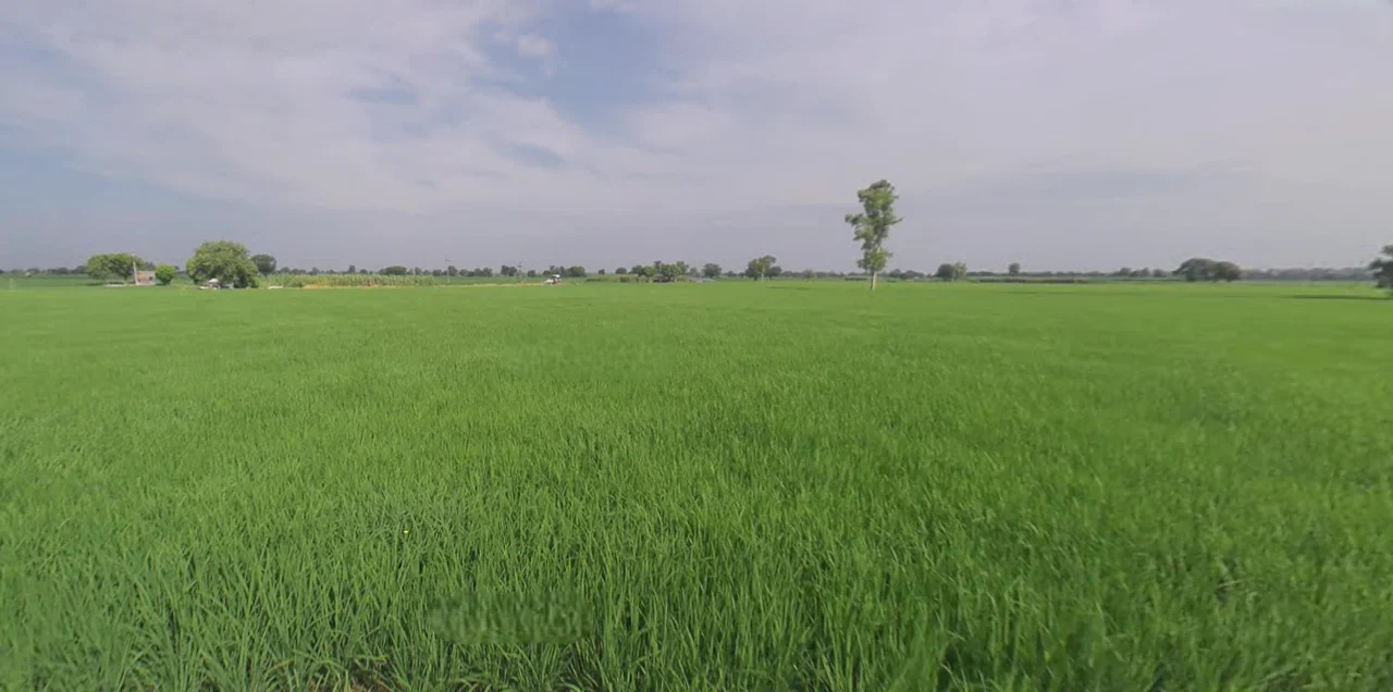 Malout, Punjab 152107, India preview 2