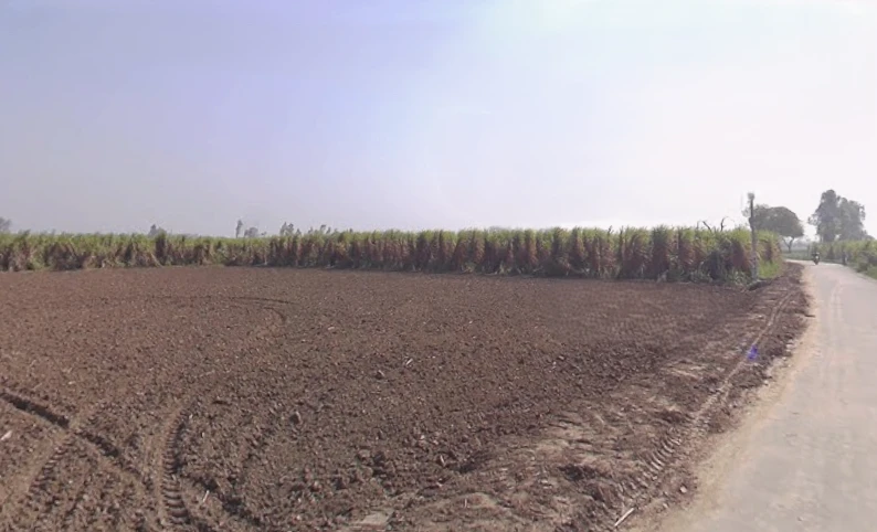 Bhainsa, Uttar Pradesh 250401, India