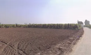 Bhainsa, Uttar Pradesh 250401, India preview 2