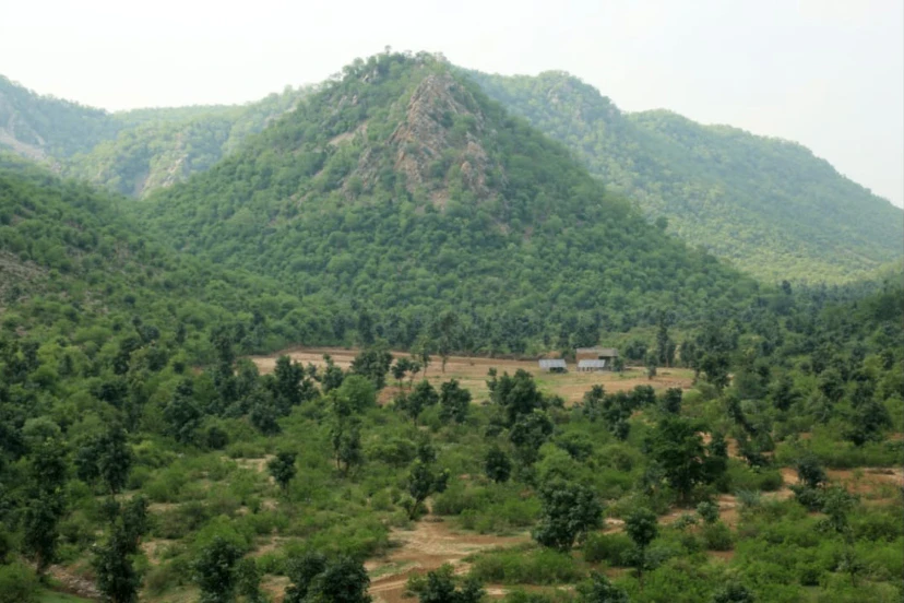 HG4R+68 Rundh Dadikar, Rajasthan, India