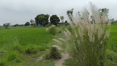 Samesee, Lucknow, Uttar Pradesh 226303, India preview 3