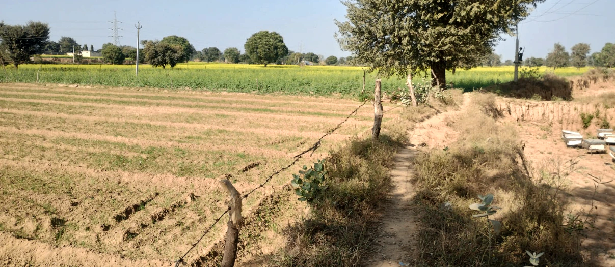 Lakhanpur, Odisha 768219, India
