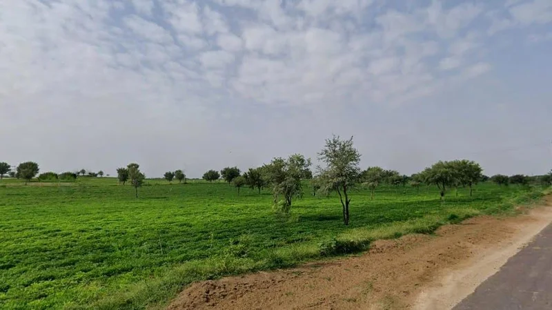 Bambloo, Rajasthan 334022, India preview 3