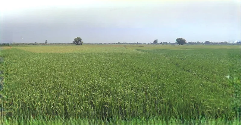 Anupgarh, Rajasthan 335701, India preview 3