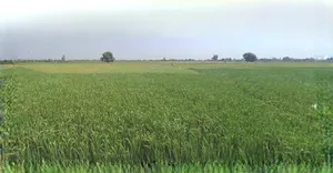 Anupgarh, Rajasthan 335701, India preview 3