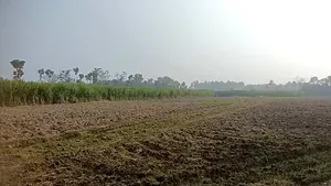 9R47+WX Bannur Rural, Karnataka, India preview 4