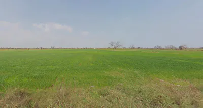 Kashipur, West Bengal 723132, India preview 2