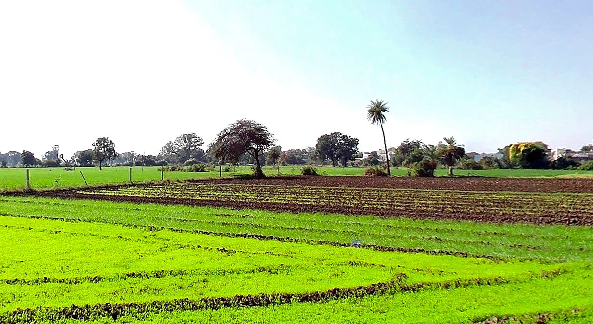 Solsinda, Madhya Pradesh 453551, India