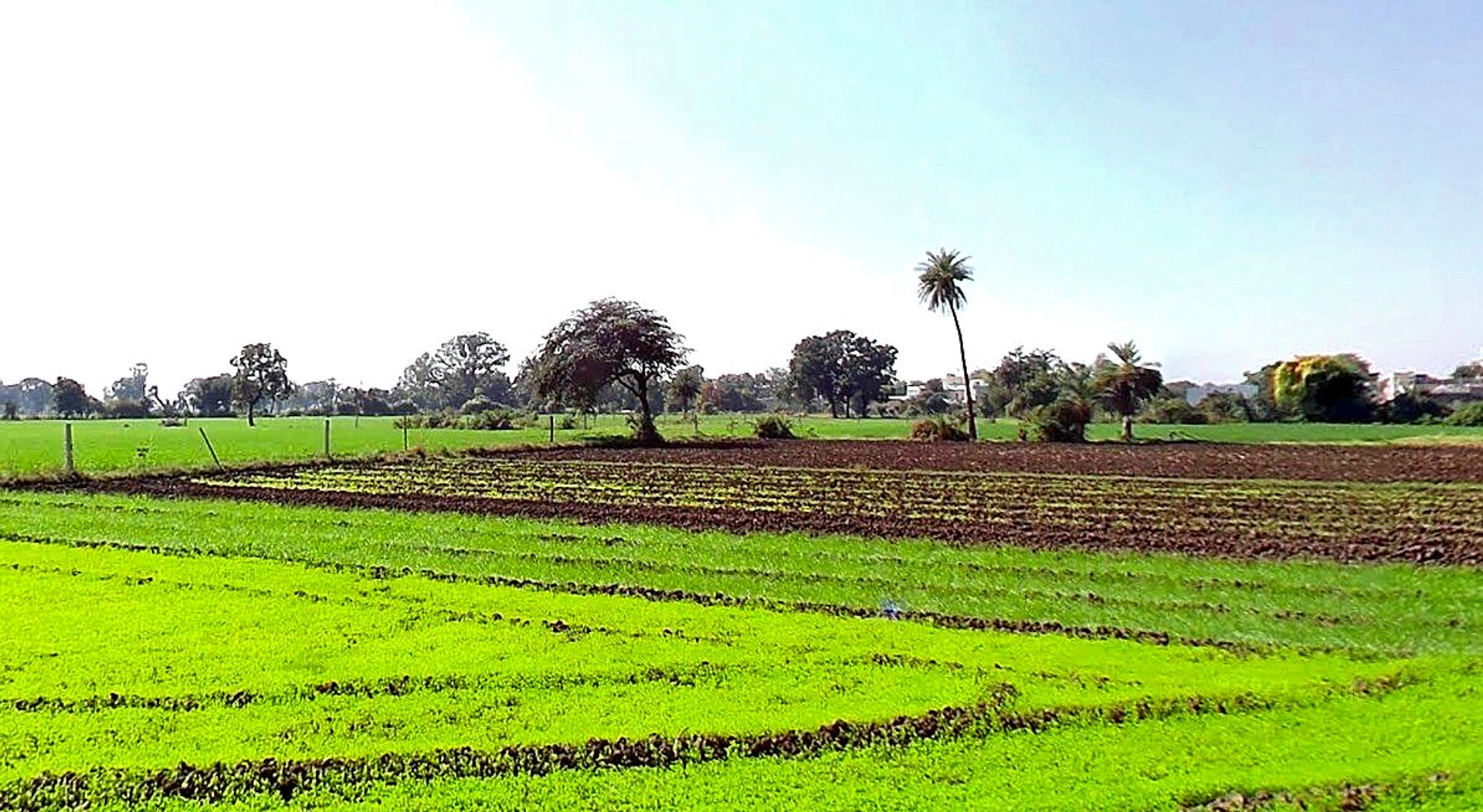 Solsinda, Madhya Pradesh 453551, India