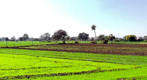 Solsinda, Madhya Pradesh 453551, India preview 6