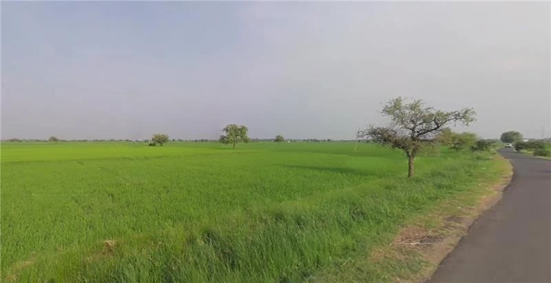 Ganthila, Gujarat 362215, India