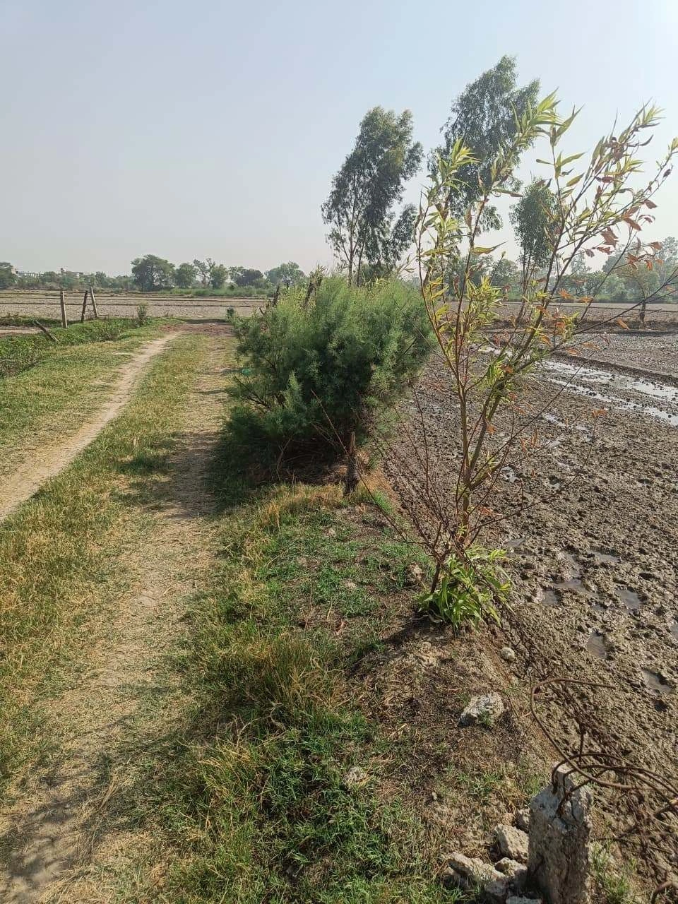 Ajhai Kalan, Uttar Pradesh 281406, India