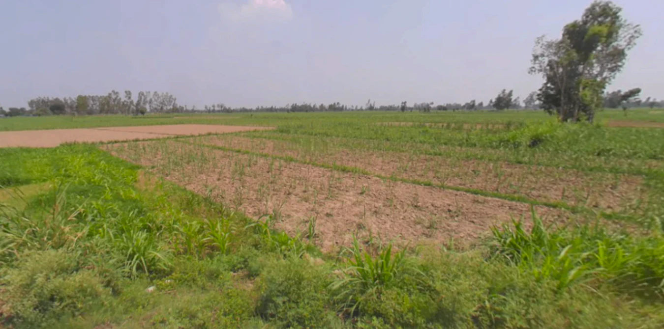 Kanth, Uttar Pradesh 244501, India