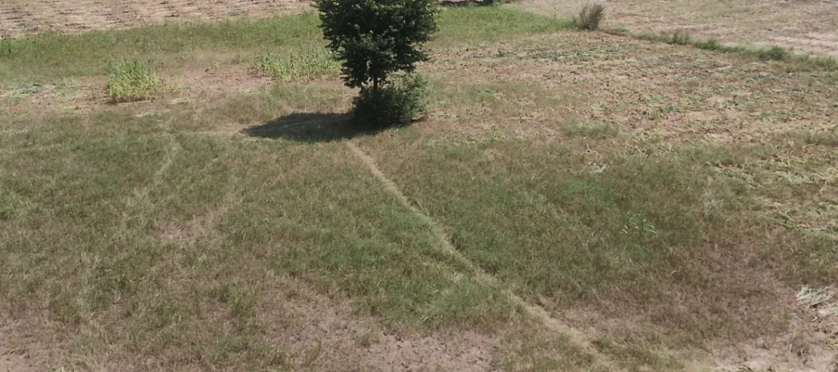 Nurpur Bedi, Punjab 140117, India