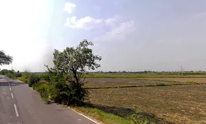 Semri, Uttar Pradesh 281401, India preview 2