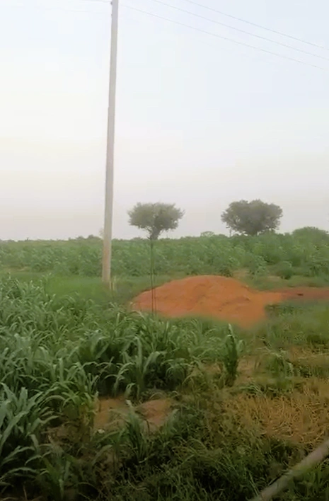 Serla, Bhiwani, Haryana 127028, India
