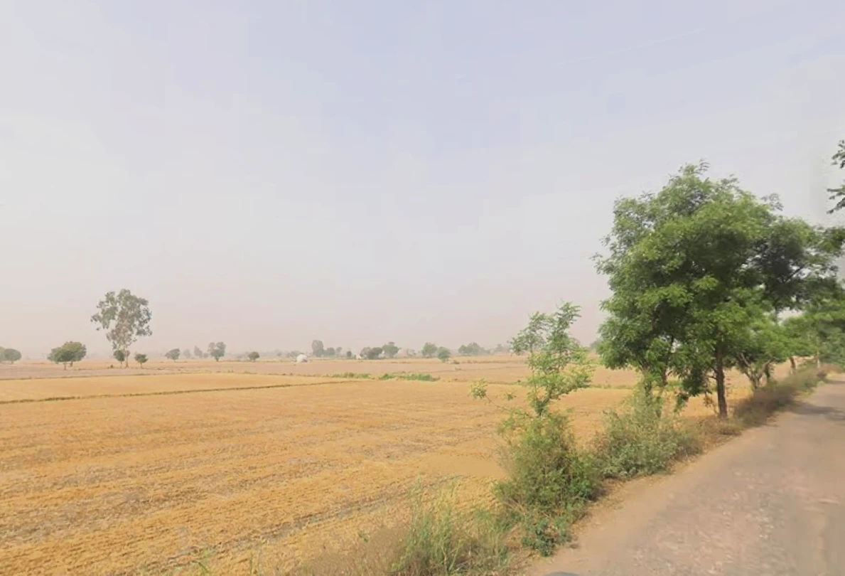 Pirthla, Haryana, India