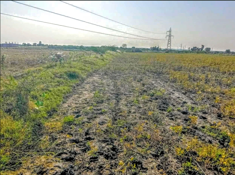 Q2XC+8R6, Mohsin -E- Azam Colony, Civil Lines, Rampur, Uttar Pradesh 244901, India