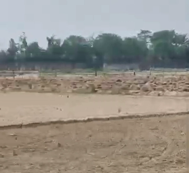 6G2V+5Q4, Falaida Bangar, Uttar Pradesh 203135, India