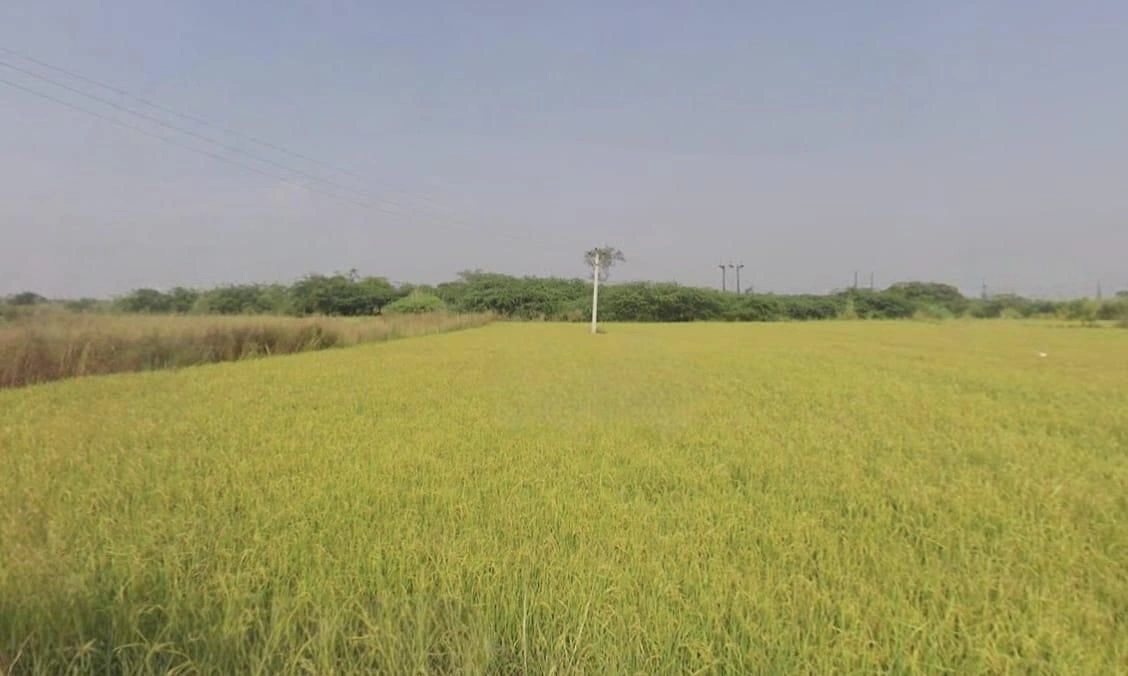 Bhagwanpura, Madhya Pradesh 451441, India