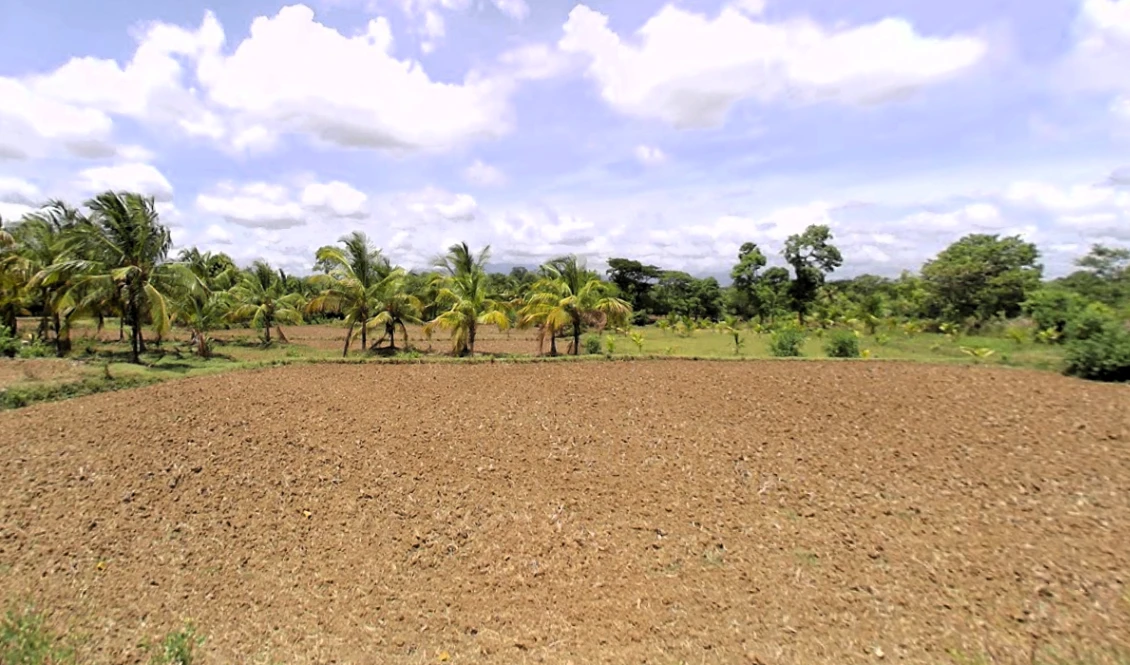 Chittur, Kerala, India