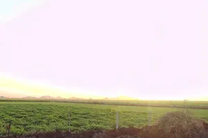 7W22+4H Dadiyan, Rajasthan, India preview 3