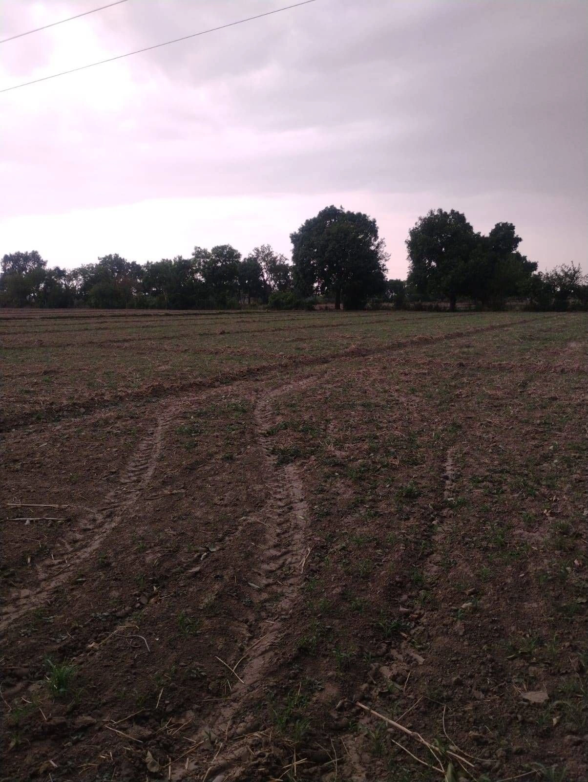 Gauhari, Uttar Pradesh 281401, India