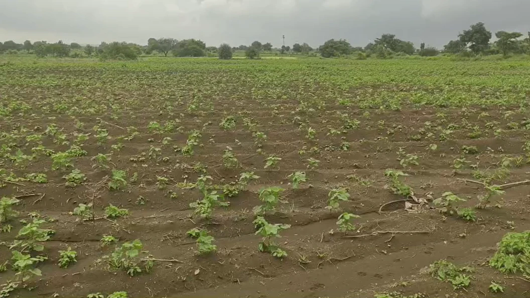 9PMW+9R4, Vikarabad, Kotpalli, Telangana 501106, India