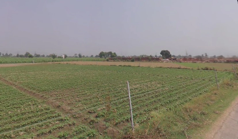 Baraut, Uttar Pradesh 250611, India