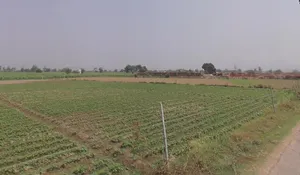 Baraut, Uttar Pradesh 250611, India preview 2