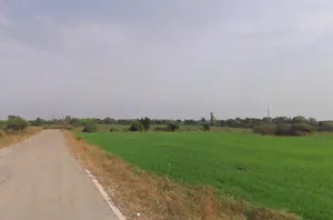 Railway Crossing, Mandideep, Bamuliya Pawar, Bhopal, Madhya Pradesh 462046, India preview 2
