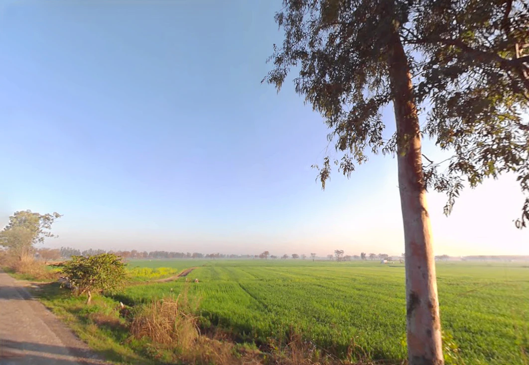 Beri - Jhajjar Marg, Haryana, India