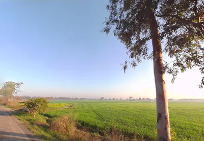 Beri - Jhajjar Marg, Haryana, India preview 3