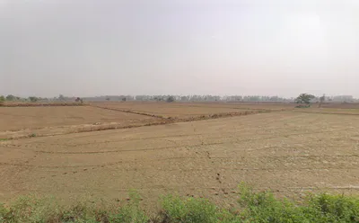 RWPR+43C, Kharkhoda, Haryana 131402, India preview 3