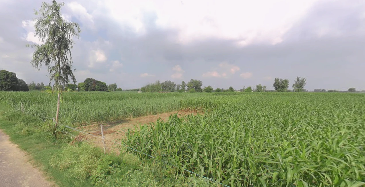 Mohanlalganj, Uttar Pradesh 226301, India