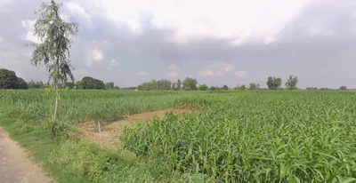 Mohanlalganj, Uttar Pradesh 226301, India preview 2
