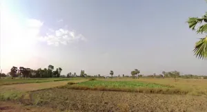 Cherki village,Gaya-Sherghati road and piprahiya village road, MVWQ+C4H, Bela Dih, Bihar 824237, India preview 2