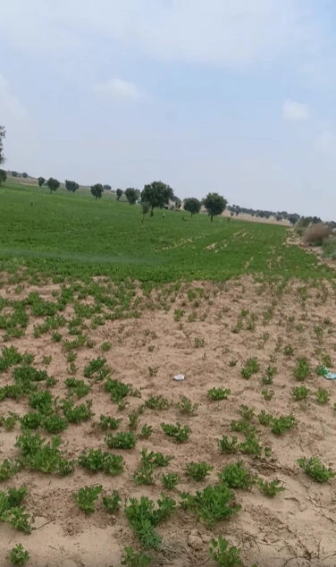 V6PP+27 Bhandana, Dausa, Rajasthan, India preview 2