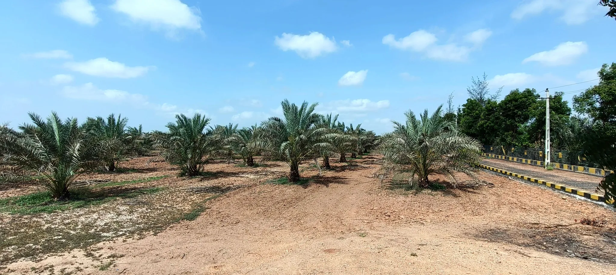 Bhadai Moti, Gujarat 370465, India