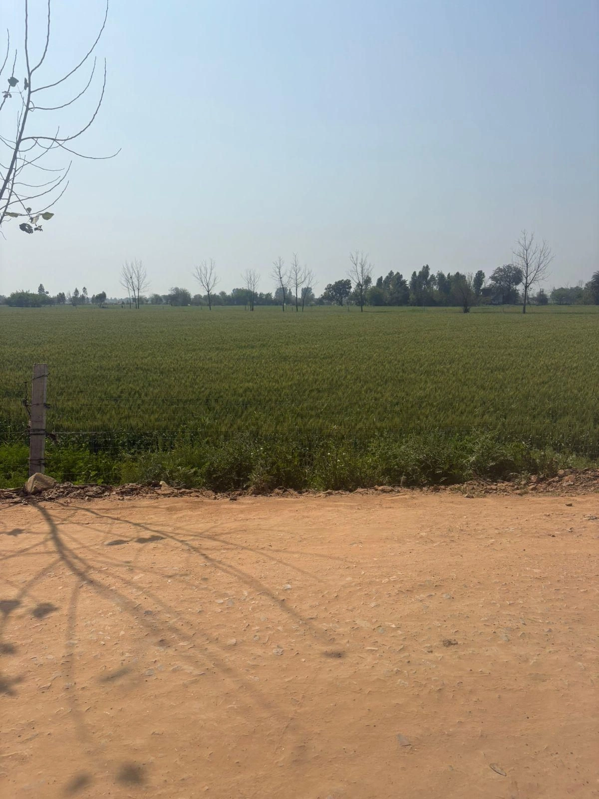 5GMR+RWW, Bagpur Khurd, Haryana, India preview 4