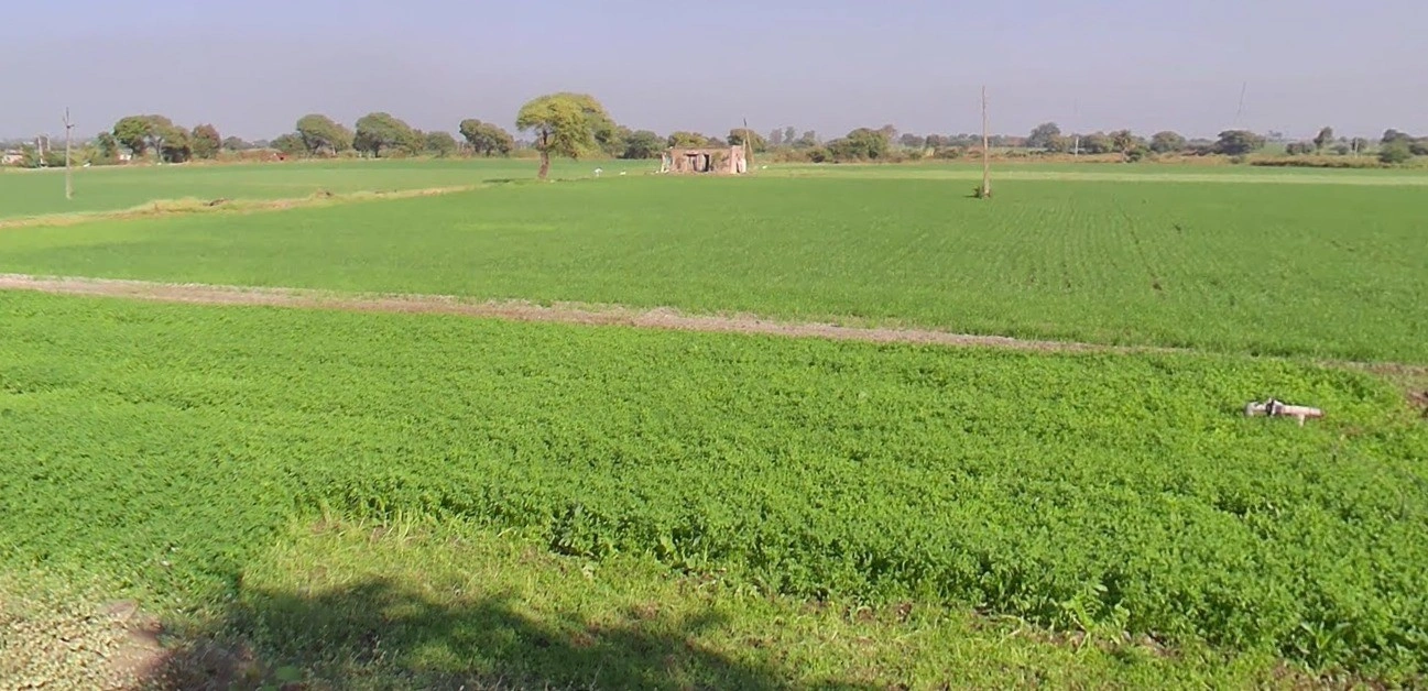 Begam Khedi, Madhya Pradesh 452016, India