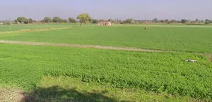 Begam Khedi, Madhya Pradesh 452016, India preview 3