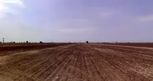 Nana Goraiya, Gujarat 363745, India preview 2