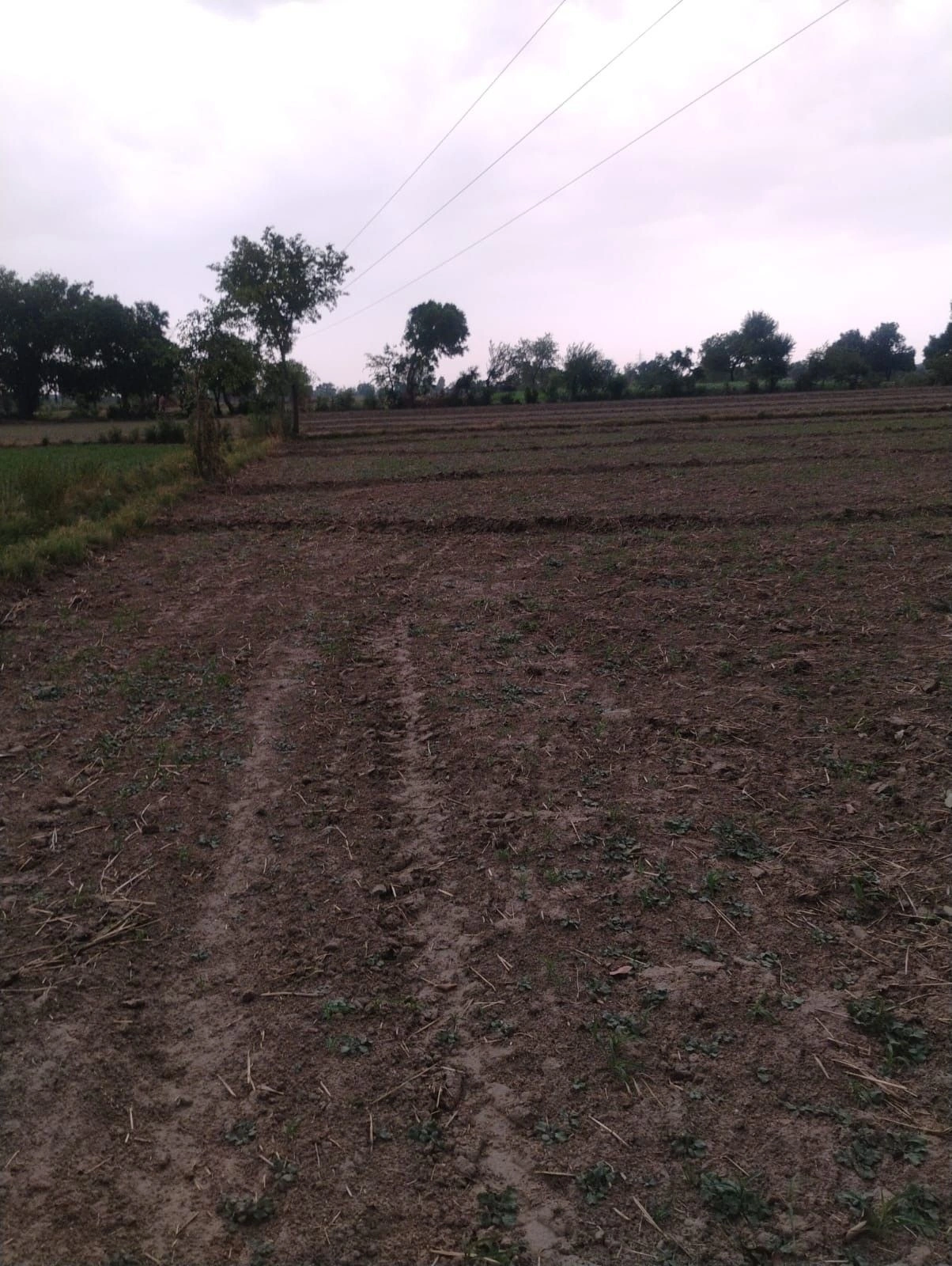 Chaumuhan, Mathura, Uttar Pradesh 281406, India